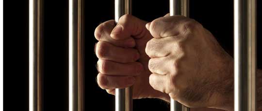 电话轰炸机网页版